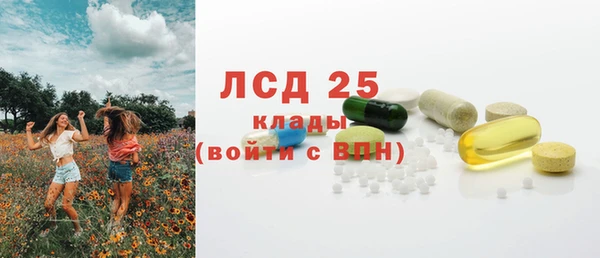 a pvp Каменногорск