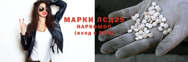 мяу мяу мука Иннополис