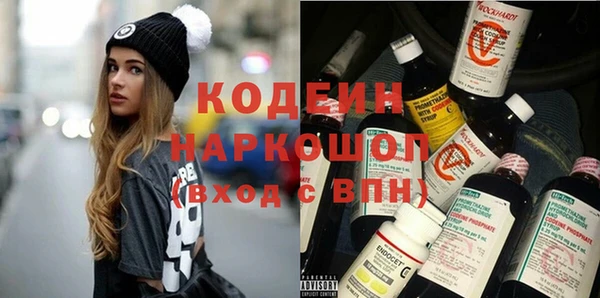 мяу мяу мука Иннополис