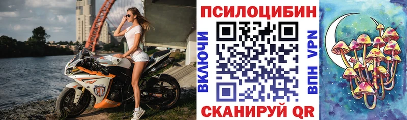 Псилоцибиновые грибы Psilocybine cubensis  Купить где  Кузнецк 